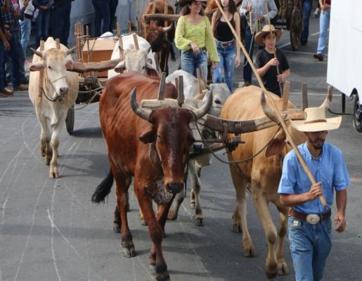 Festa do Divino 2022 - Chegada da paçoca volta a colorir a cidade em celebração à fé e a cultura nazareana